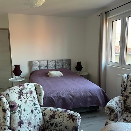 Apartament Aux Cigogneaux Guémar Zewnętrze zdjęcie