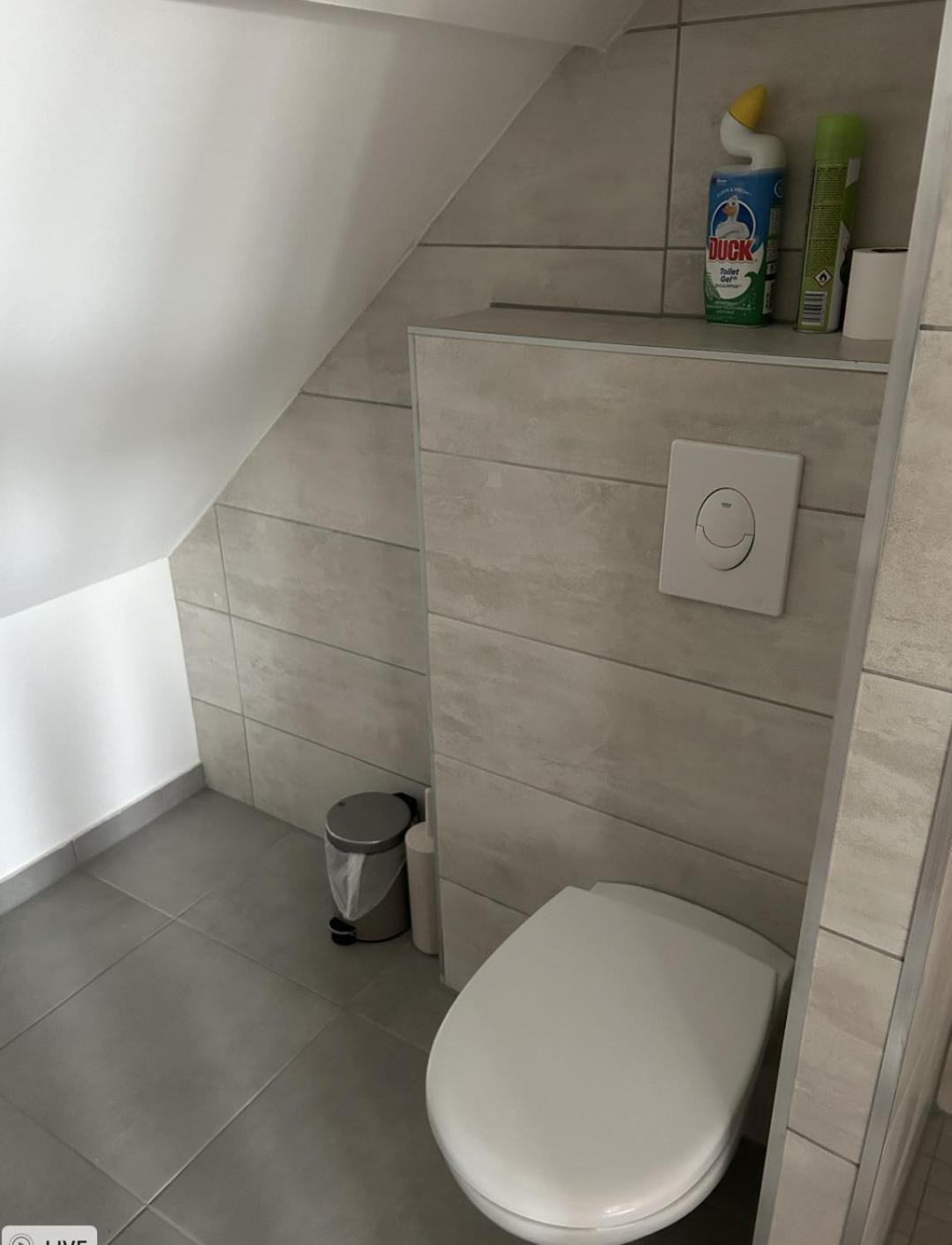 Apartament Aux Cigogneaux Guémar Zewnętrze zdjęcie